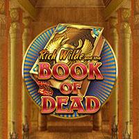 Rich Walde : Book of Dead